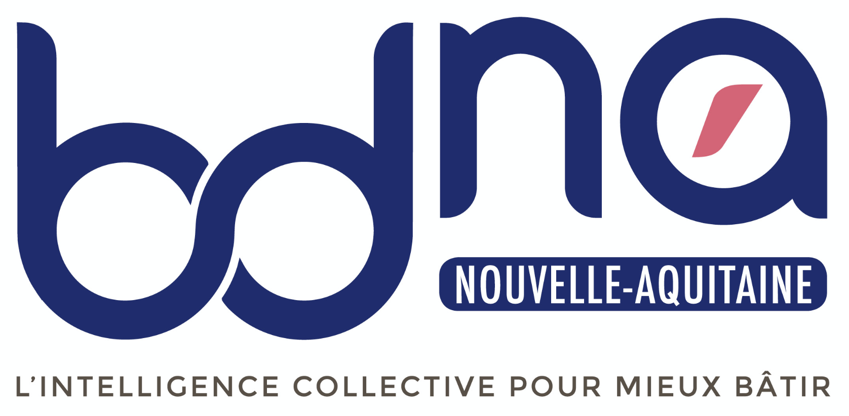 bdna
