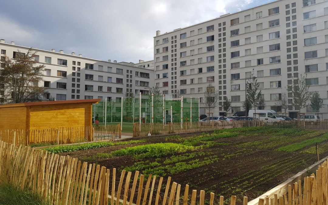 Rénovation du groupe Eugène André et Cazeneuve – Lyon 8ème (69)