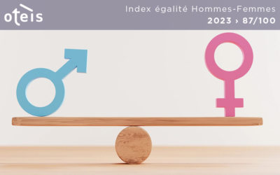 Index égalité Hommes-Femmes – Oteis 2023