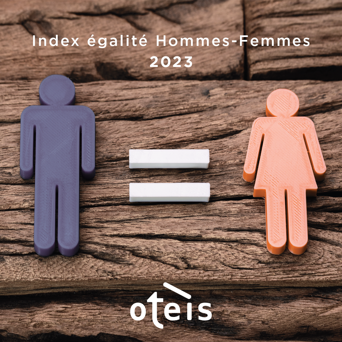 Vignette Index égalité Hommes-Femmes 2023