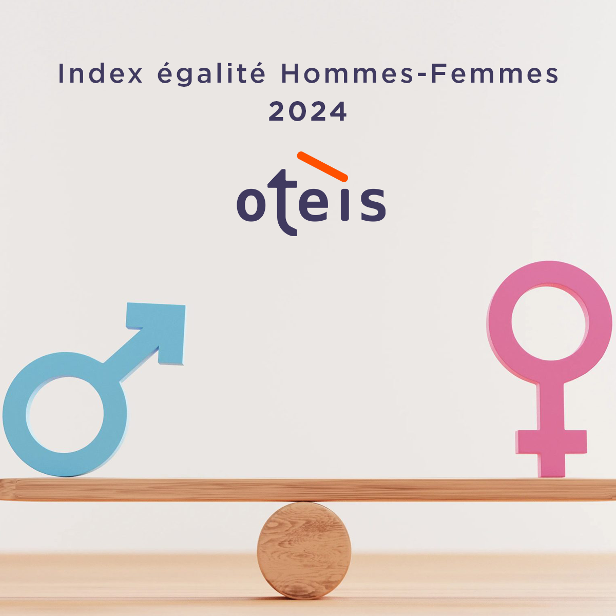 Vignette Index égalité Hommes-Femmes 2024