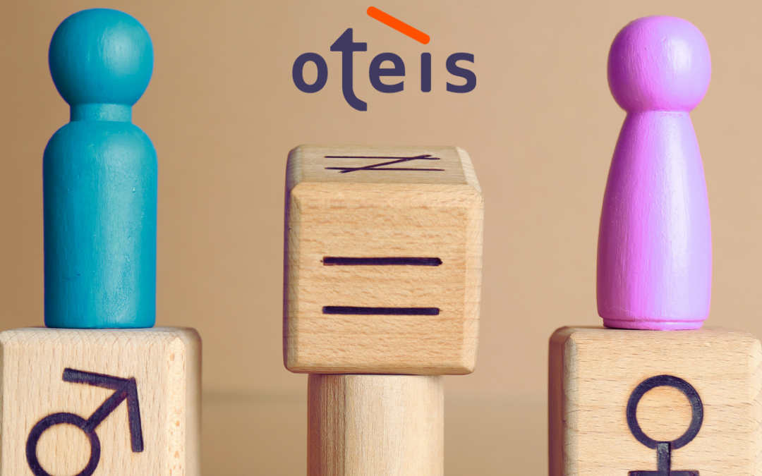 Index égalité Hommes-Femmes – Oteis 2025