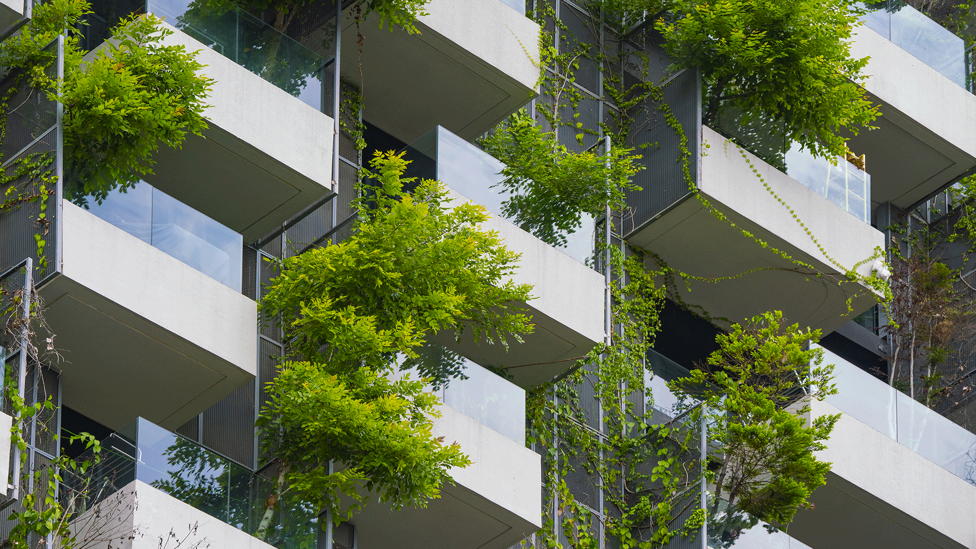 Intro-habitat-collectif-Elithis-1080x1920