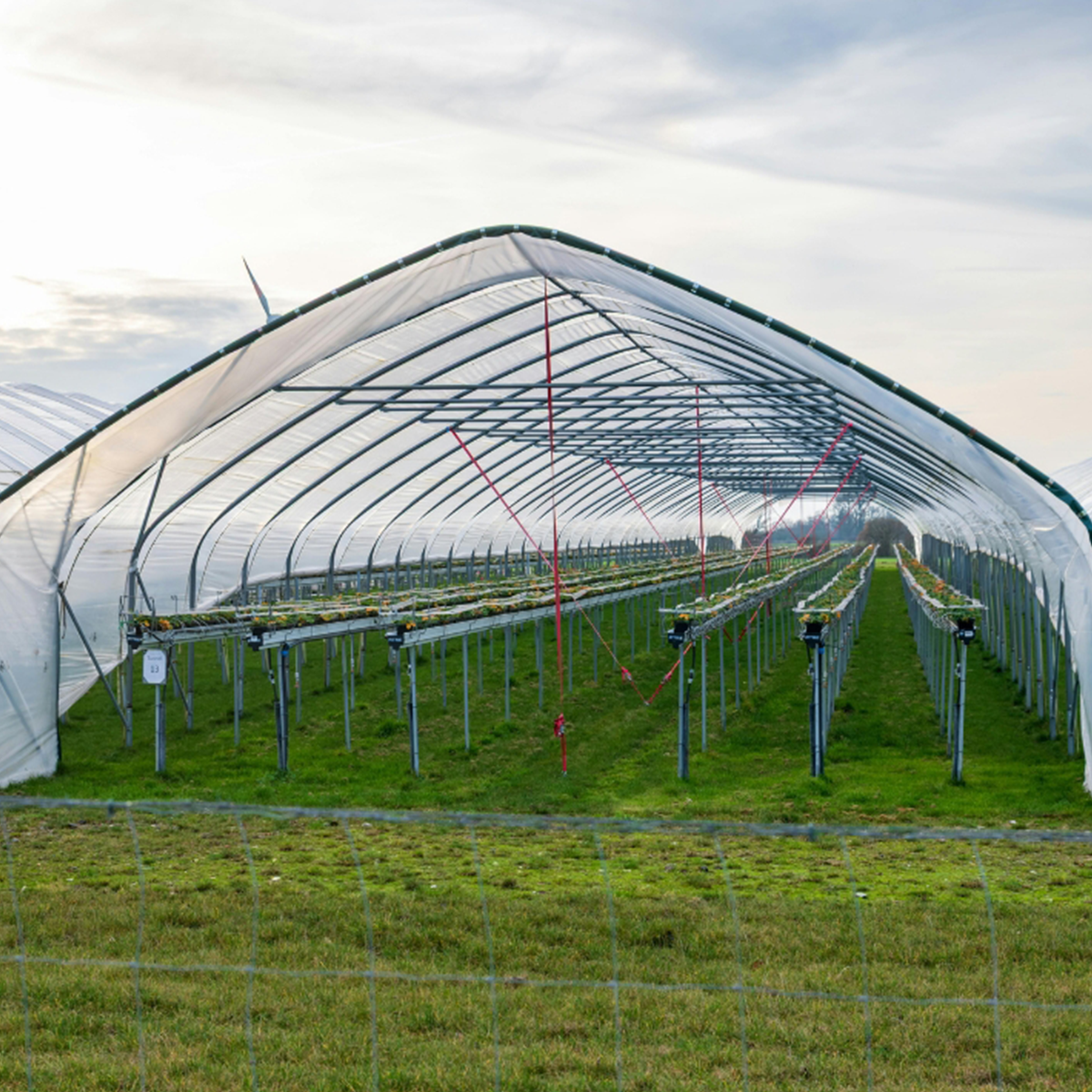 Visuel Canva Agriculture 1200x1200