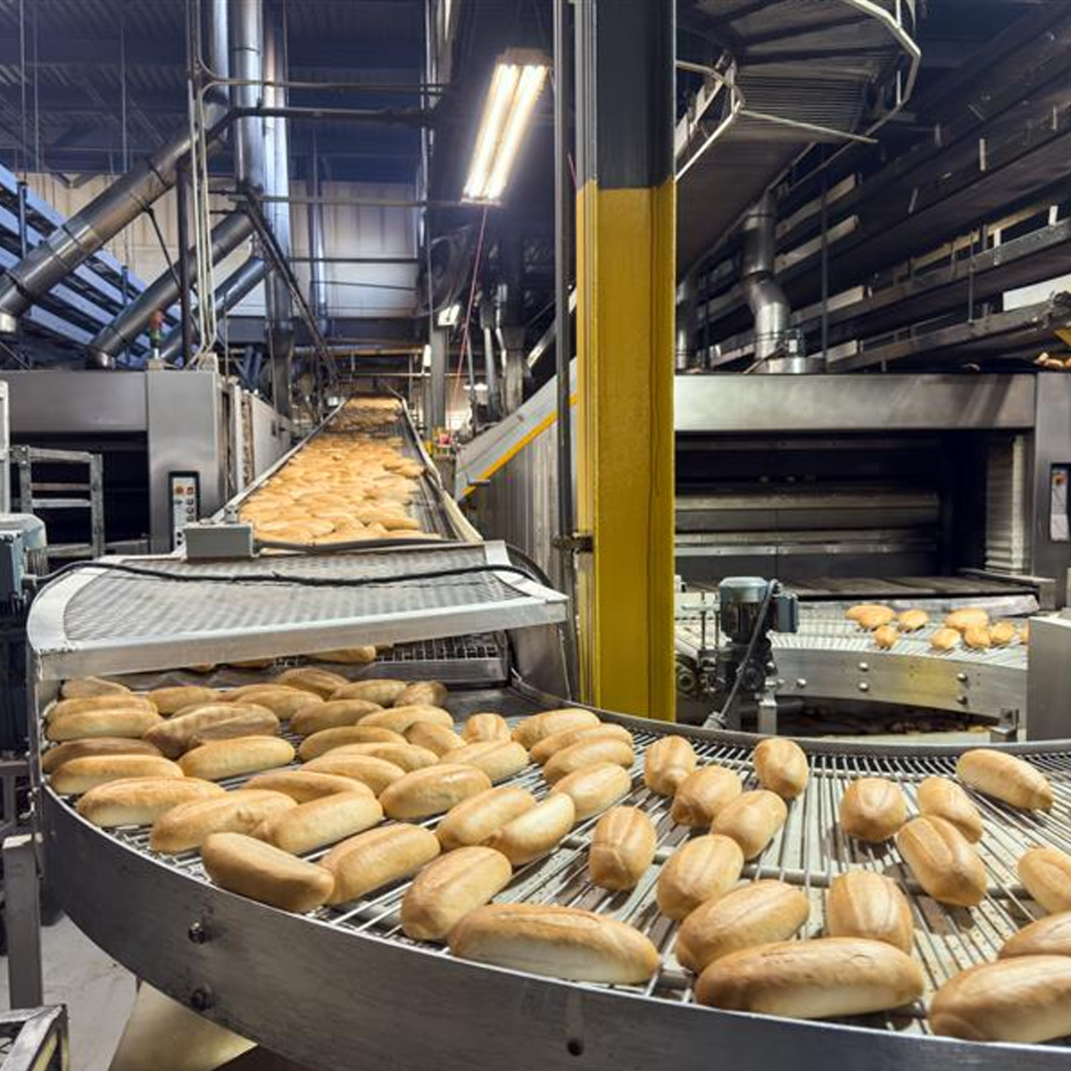 Visuel Getty Industrie Agroalimentaire 1200x1200